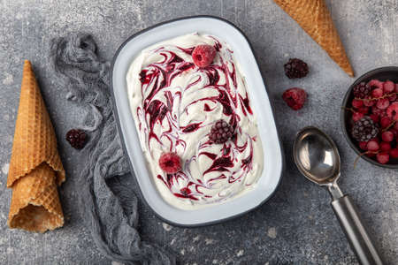 vanilla and berry ice cream, top viewの写真素材