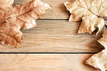 autumn still life from leaves on a wooden tableの写真素材
