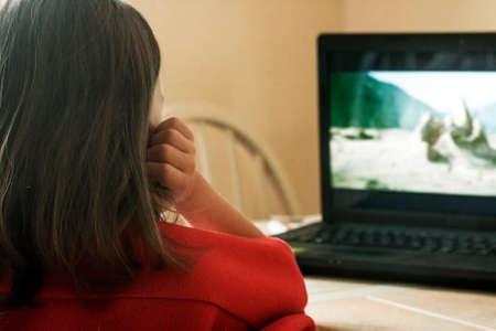 The girl, wrapped in warm red plaid, watching a movie over a computerの写真素材