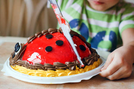A little girl is cutting her birthday cake with a knifeの写真素材