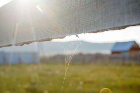 Rural landscape: green meadow and old wooden fenceの写真素材