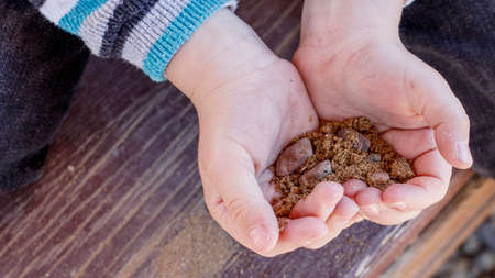River sand with stones in the palms of the childの写真素材