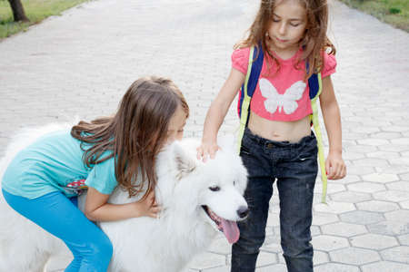 Girls stroking a big white dog in the park