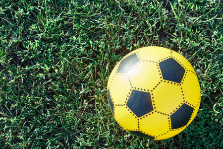 Yellow soccer ball on the green lawn in the backyardの写真素材