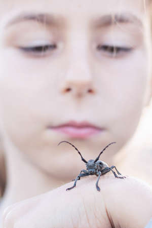 A child holds a large barbel beetle on hand
