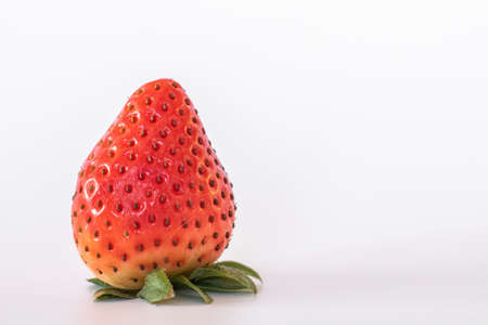 Large ripe strawberries isolated on the white backgroundの写真素材