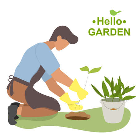 Vector flat illustration. Man gardener plants a seedling of a tree in the ground. Hello garden.のイラスト素材