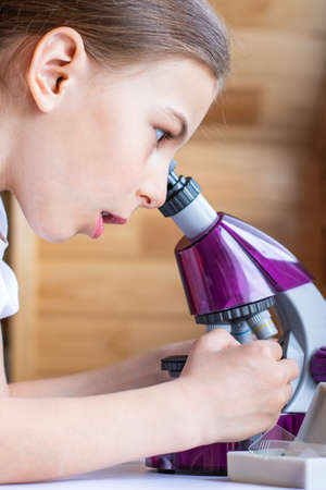 A girl examines a wing of a fly under a microscopeの写真素材