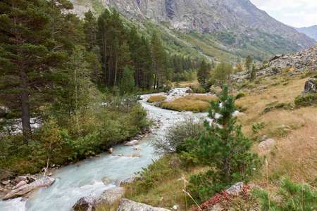Mountain river landscape. Alps. In the morning in clear sunny day on a wide corner. The river quickly flows. Mountaineering and hikes. Grass. Tree.の写真素材
