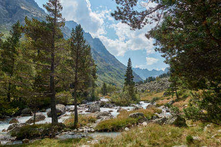 Mountain river water landscape. Alps. The cloudy sky in clear sunny day. Warm summer. Time for pedestrian tourism and family holiday with friends. Forest.の写真素材