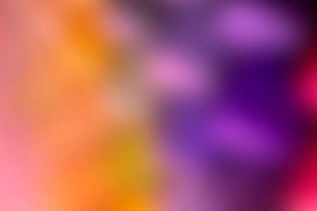 Beavertail blurred neon background. colorfulの写真素材