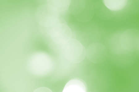Beautiful spring, summer and festive background. Sunlight, day, environment and bokeh close-up. Green texture. Environmental theme of environmental protection, health. Banner for advertising.の写真素材