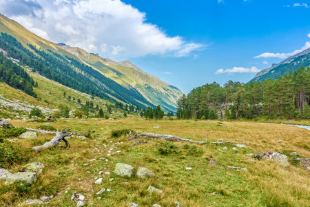 mountain landscape with trees. trek, valleyの写真素材