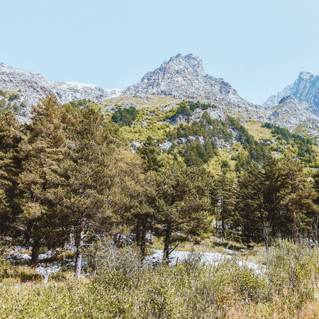Mountain landscape with green trees and grass.の写真素材