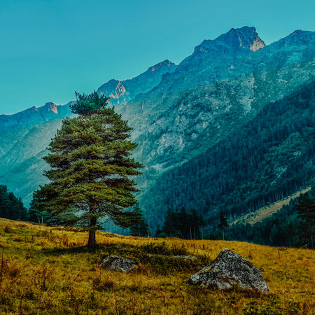 Mountain landscape with yellow trees and grass. autumn timeの写真素材