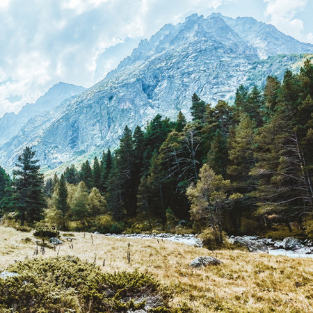 Picturesque mountain landscape with forest, sky, clouds, river. square picの写真素材