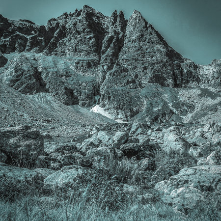 Scenic mountain scenery with cloudless skies. wildlife. A paradise for climbers. Daylight time. Toned green.の写真素材