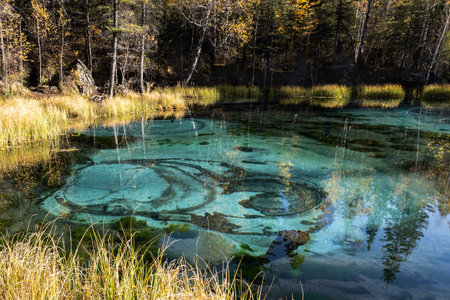 A mystical blue lake with a reflection and a magical pattern in an autumn forest with yellow dry grass in bright sunny weather during the dayの写真素材