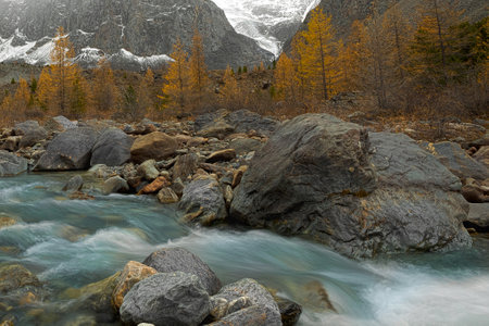 A landscape of a fast-flowing blue river with blurred white water among large stones and an autumn forest with yellow trees in the background and snow on the rocksの写真素材