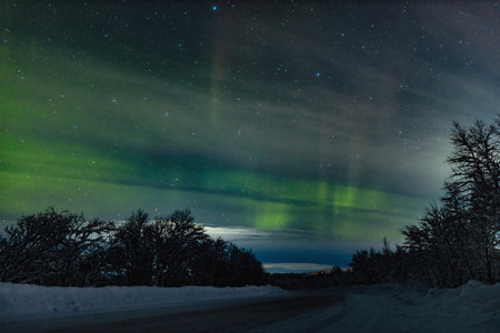 Night sky with stars and green polar northern lights on the background of roads, trees, snow in winter. wide angleの写真素材