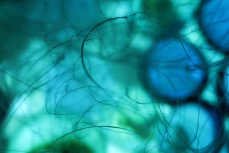 Blue marbles on the luminating glass with a featherの写真素材