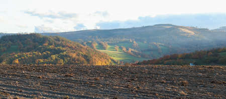 Agricultural field on the background of the autumn trees and hills