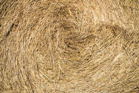 haystack shot closeの写真素材