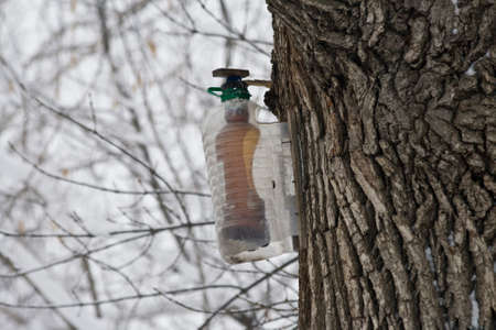 Strange feeder for the winter birds from plastic bottle in Park at winterの写真素材