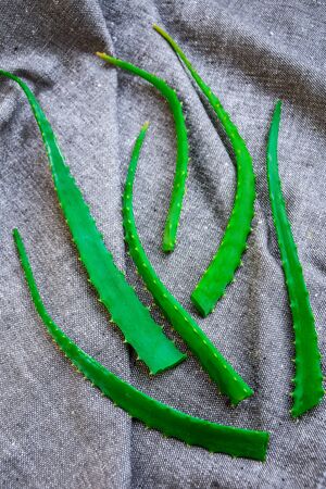 Homemade skin care. Aloe vera leafs, on gray background top view copyspace, natural beauty, spa treatmentの写真素材