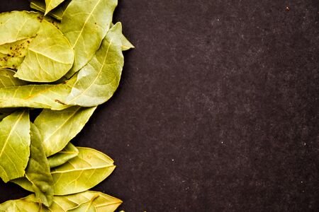 Photo of closeup green texture of bay leaf on black background, top view, copy space, green Dry bay...