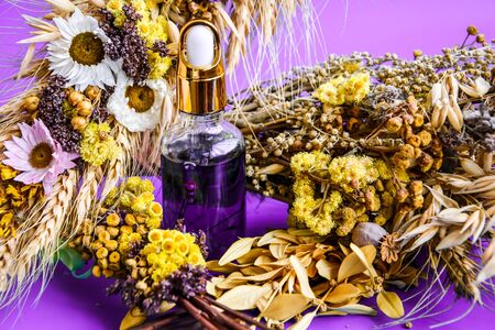 Anti aging serum in glass bottle with dropper on purple background and dry flowers . Facial liquid serum with collagen and peptides. Skin care essence for beautiful healthy skin. Dropper glass bottle mock-up.の写真素材