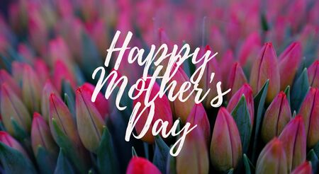 Happy Mothers Day words. Beautiful and tender bouquet of flowers in the hat box, nice present concept, banner size, Greeting card trendy monochrome backdrop. Web banner, Holiday graphic for momの写真素材