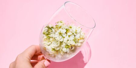 The concept of spring mood. FEmale hand holding White flowers in a transparent glass on pink background, Creative, copy space for text, spring time,の写真素材