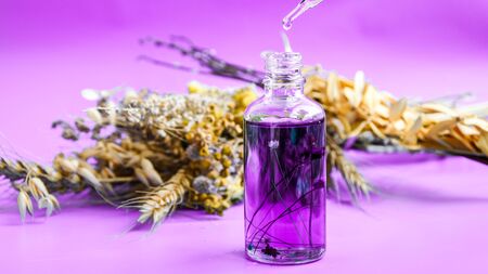 Anti aging serum in glass bottle with dropper on purple background and dry flowers . Facial liquid serum with collagen and peptides. Skin care essence for beautiful healthy skin. Dropper glass bottle mock-up.の写真素材