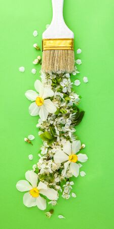 Spring blossom concept. Paint brush with apricot cherry blossom flower on green background, in bloom flowers, spring timeの写真素材