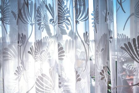 Indoor plants on the windowsill through a translucent curtain. Defocused background and copy space,...