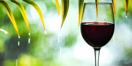 a glass of red wine reflecting green trees and branches of trees on background, vacation time, relaxing spa zone with alcohol, Glass of wine on nature backgroundの写真素材