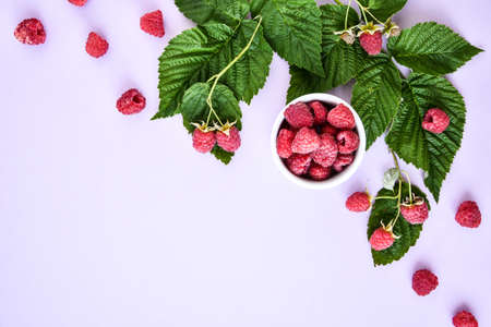 Red fresh raspberries on pink background. Bowl with natural ripe organic berries with peduncles and green leaves, top view with copy space. Summertime fruitsの写真素材