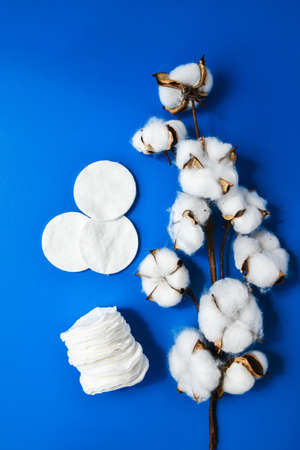 Cotton branch and cotton sponges on blue background, top view, copy space. Eco-friendly zero waste material, pattern of cosmetic cotton pads on blue background top view mockupの写真素材