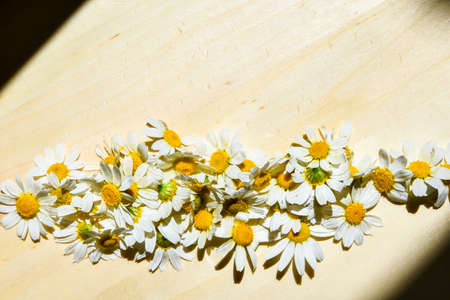 Wild chamomile. White Daisy flowers. Rustic summer wooden background, Shadows, Copy space wallpaperの写真素材