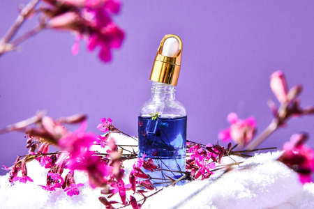 Glass dropper with a drop of cosmetic oil and dried flowers and herbs on purple background. Natural organic herbal skin care oil, white towel, small pink flowersの写真素材