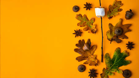 Roasted marshmallow on stick with autumn leaves, anise, nuts. Autumn composition, Ornament for...