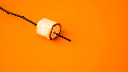 Grilled marshmallow on stick on yellow background with copy space. Fall camping fun. Autumn picnicの写真素材