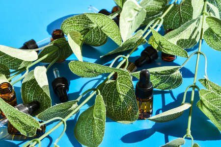 Essential chemist oils in bottle with plant and white background. Dropperの写真素材