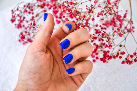 Hand with blue nails on dried flowers background. Female manicure. glamorous beautiful manicure. Winter or autumn manicure in blue. Fashionable Nail Gel Polish Colorの写真素材