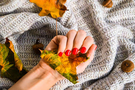 Hand with red nails on sweater autumn cozy background. Female manicure. glamorous beautiful manicure. Winter or autumn manicure in red. Fashionable Nail Gel Polish Colorの写真素材