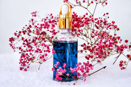 Glass dropper of cosmetic oil and dried flowers and herbs on white background. Natural organic...
