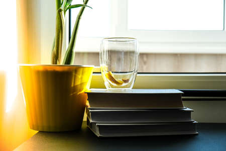 A cup of hot tea with lemon is on the windowsill on a pile of books, steam comes out of the cup. Yellow flower pot with green plant.の写真素材