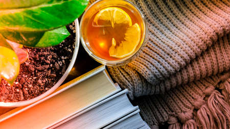 A cup of hot tea with lemon on a pile of books, steam comes out of the cup. Yellow flower pot with green plant. Sunbeam. Cozy Hygge home on windowsillの写真素材