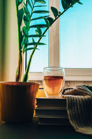 A cup of hot tea with lemon is on the windowsill on a pile of books, steam comes out of the cup. Yellow flower pot with green plant. Sunbeam. Cozy Hygge home on windowsillの写真素材
